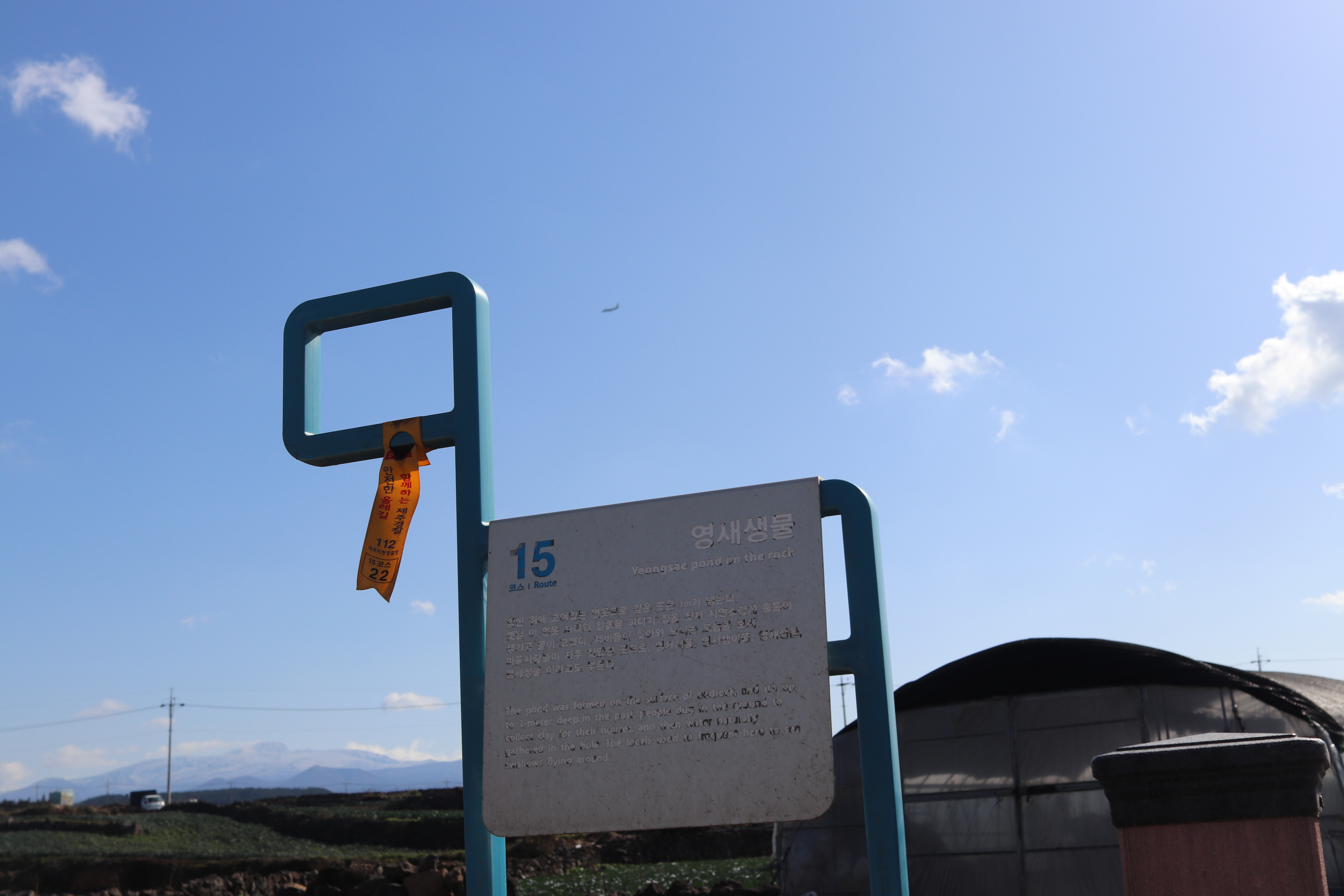 제주 올레길 관련 사진