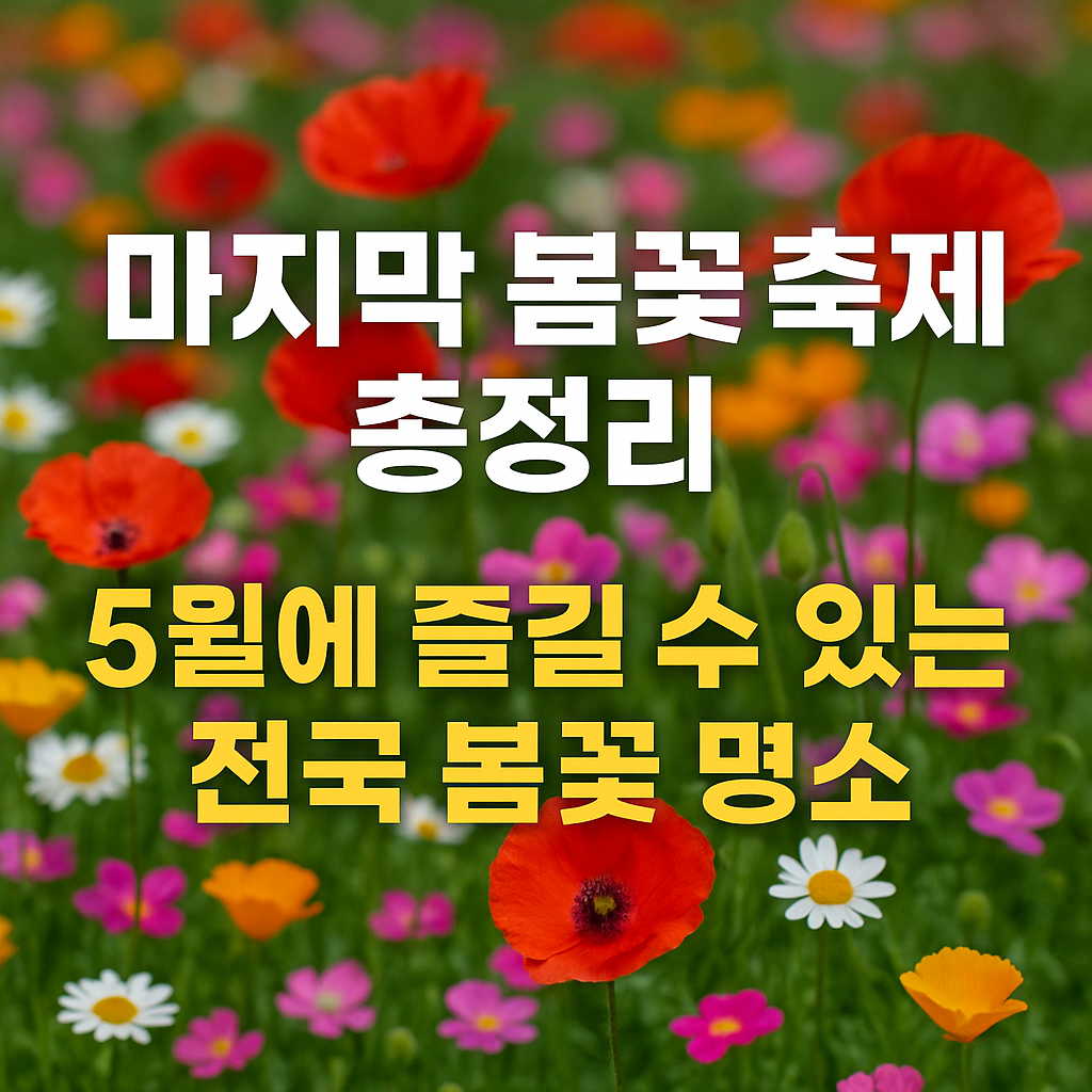 2025년 마지막 봄꽃 축제 총정리! 5월에 즐길 수 있는 전국 봄꽃 명소
