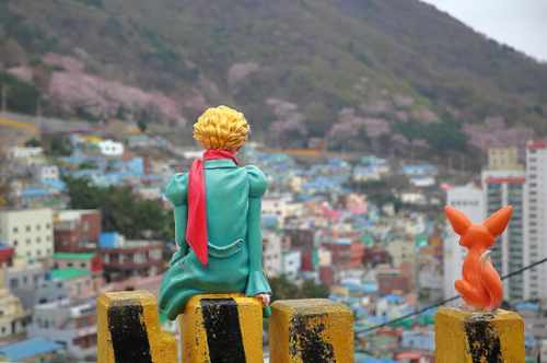 부산 감천문화마을 사진입니다.