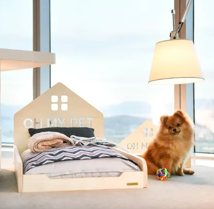 반려동물 전용 호텔 vs 펜션 어디가 더 좋을까?