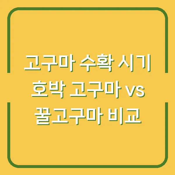고구마 수확 시기 호박 고구마 vs 꿀고구마 비교