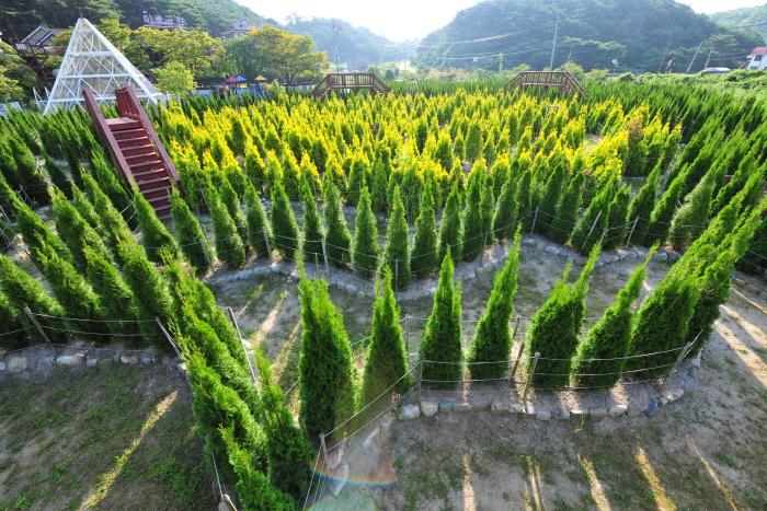 안면도 미로공원