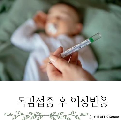 독감 접종후 증상 몸살 열 부으면 이상반응 생기면 신고
