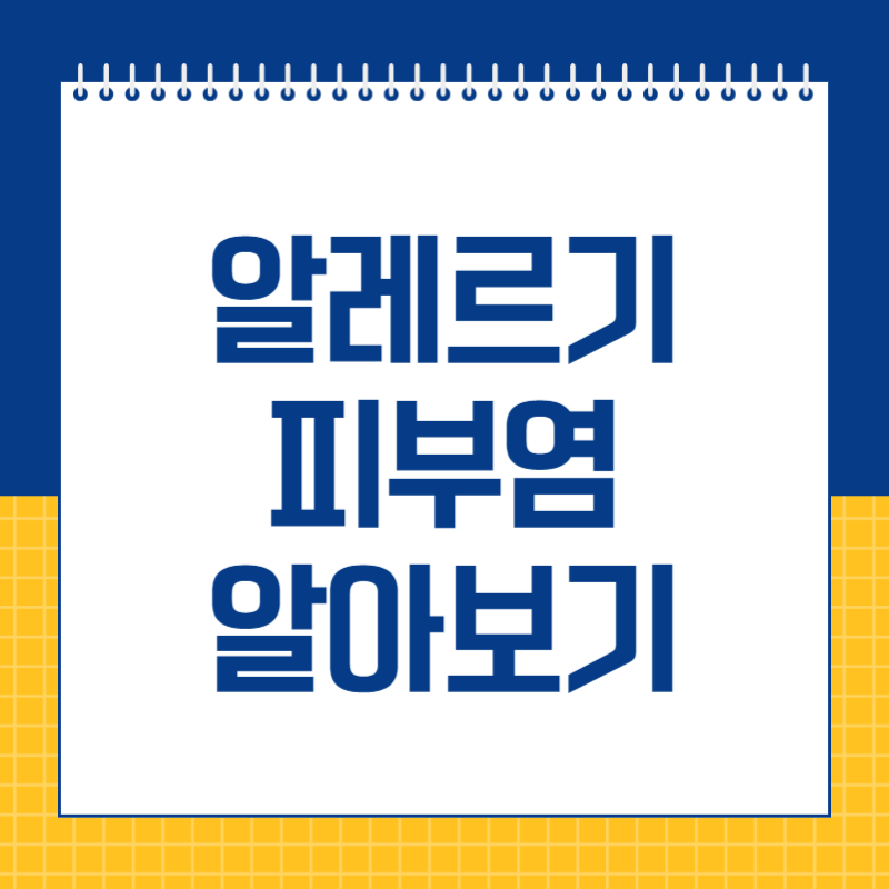 알레르기 피부염