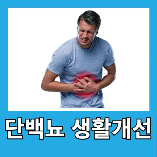 단백뇨 대응 방안