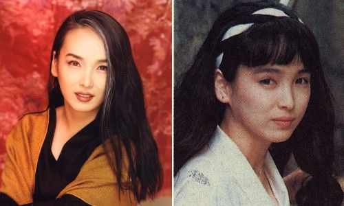 조용원 배우 나이 프로필 학력 고향: 40년 은둔 뒤에 숨겨진 수백억 자산가와 도쿄대 박사의 반전 실체