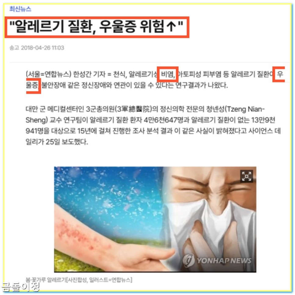 만성비염 극복 후기 광선치료로 코막힘 사라진 리얼 체험담