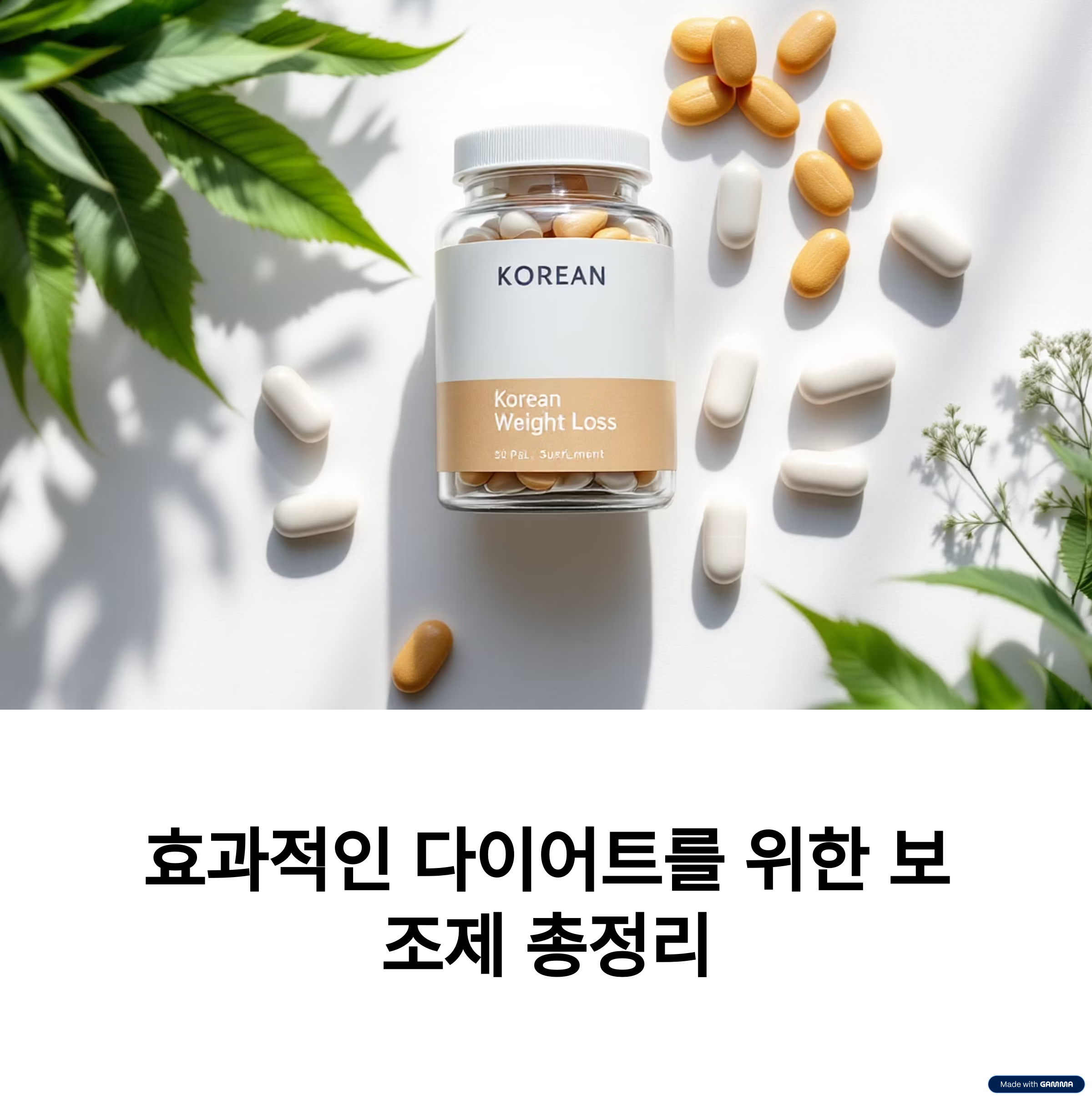 2025년 최신 다이어트 보조제 효과 비교 정리!