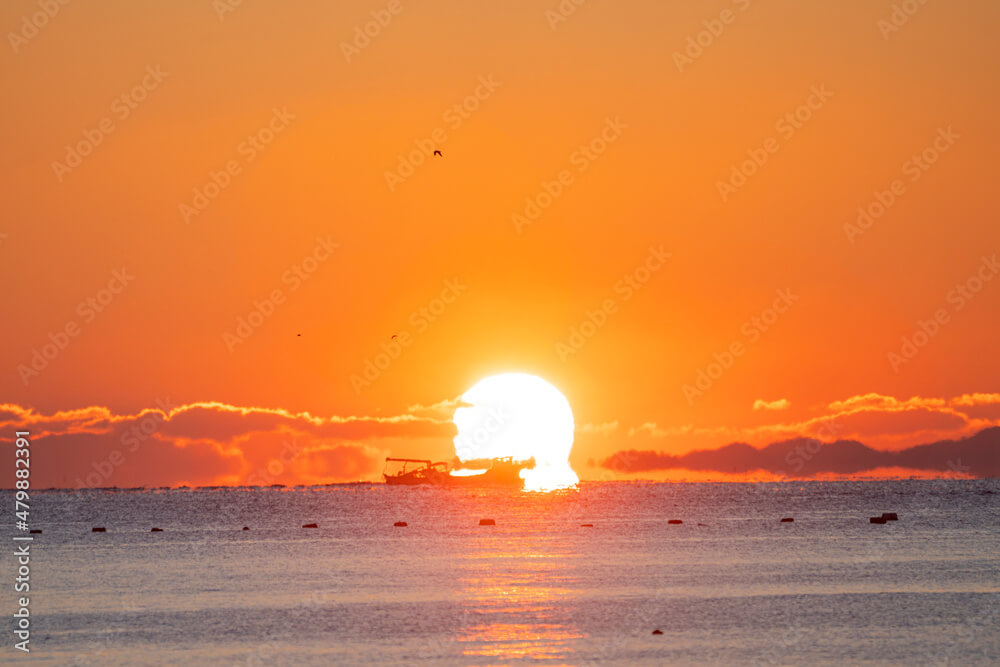 화담숲 모노레일 예약하기