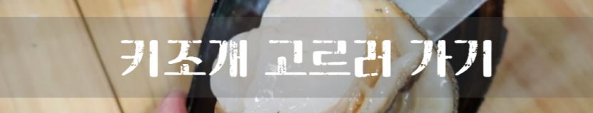 키조개 손질법 키조개 버터 구이 고추장 치즈구이 만드는 법