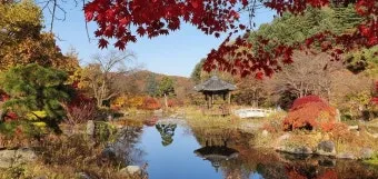 경기도 1박 2일 여행지 추천 베스트 5곳 총정리 완벽 코스_13