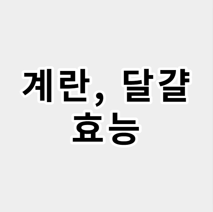 계란달걀효능