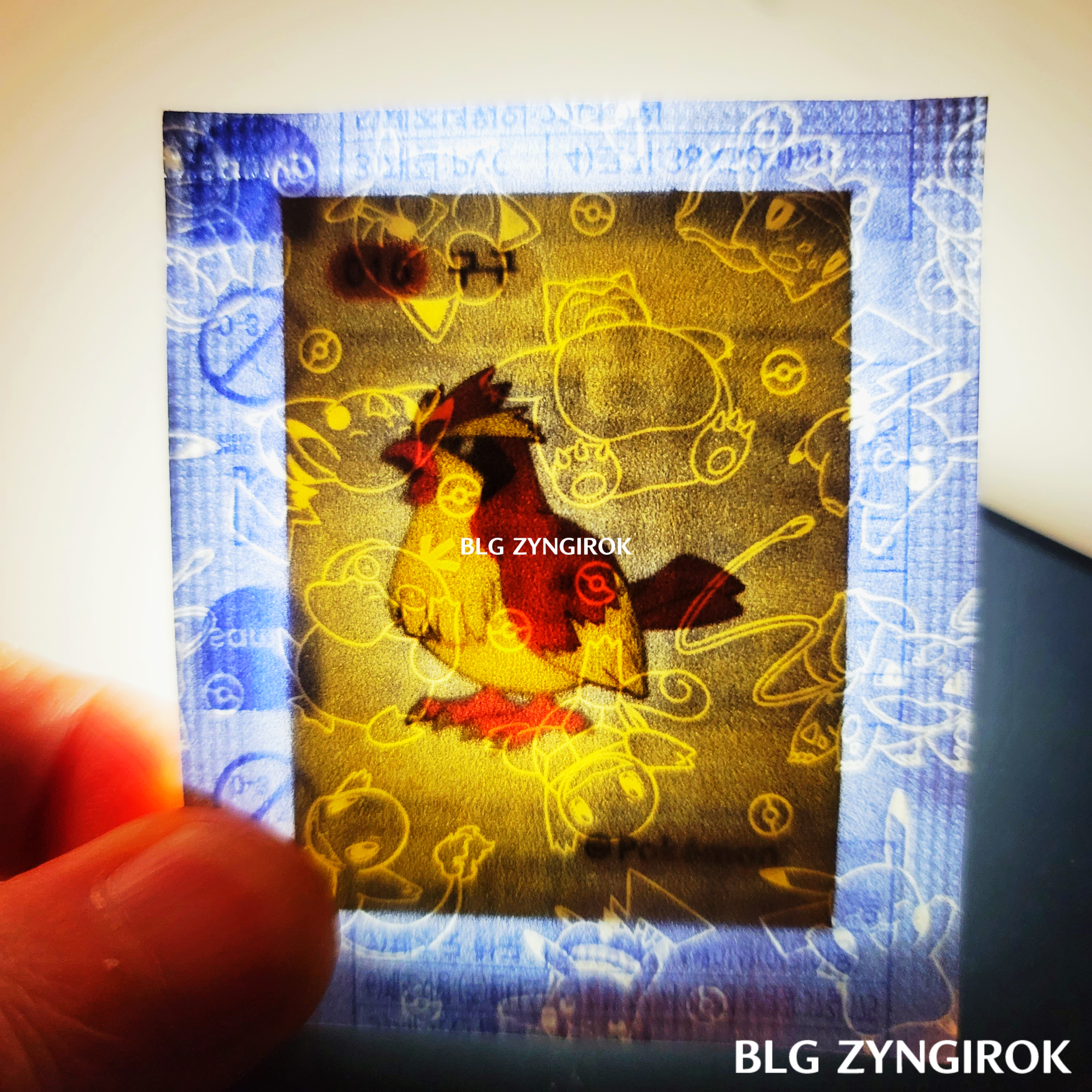 띠부띠부씰-구구를-들고있다.