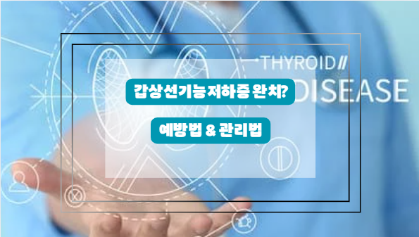 갑상선 질환 완치