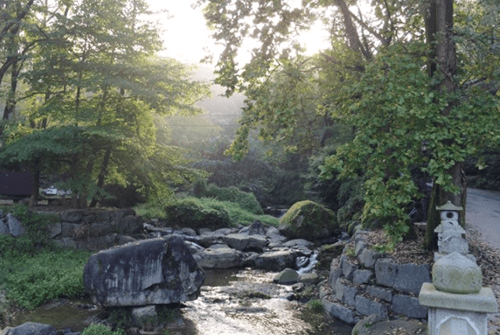 당산나무10