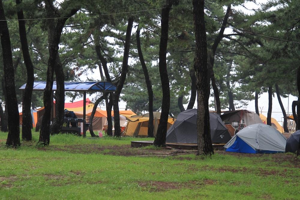 솔향기캠핑장

주소 강원 강릉시 연곡면 해안로 1282-10