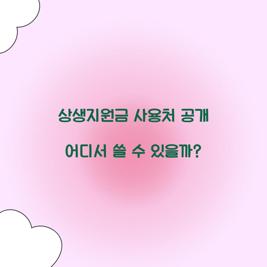 상생지원금 사용처