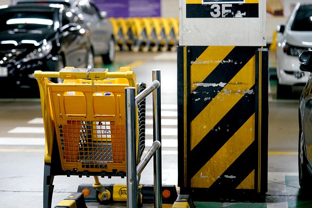 민생회복 지원금 다이소