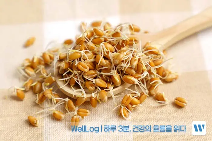 카무트 효소 효능, 먹는법