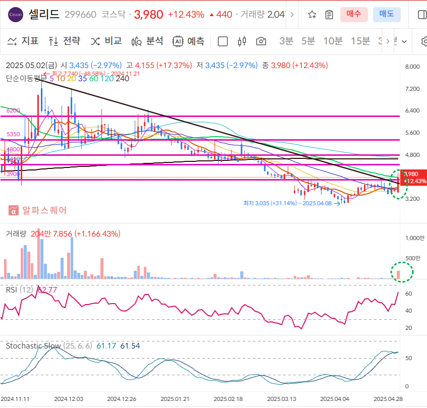 셀리드 일봉차트
