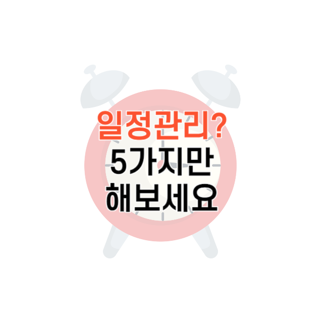 일정 관리