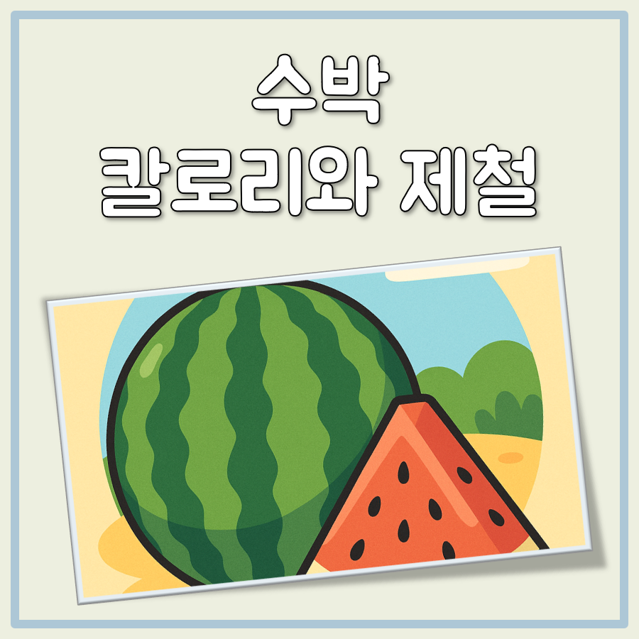 수박 반통 및 1조각 칼로리, 효능과 제철 정리