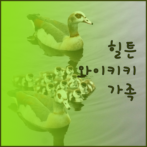 힐튼 하와이안 빌리지 와이키키 비치 