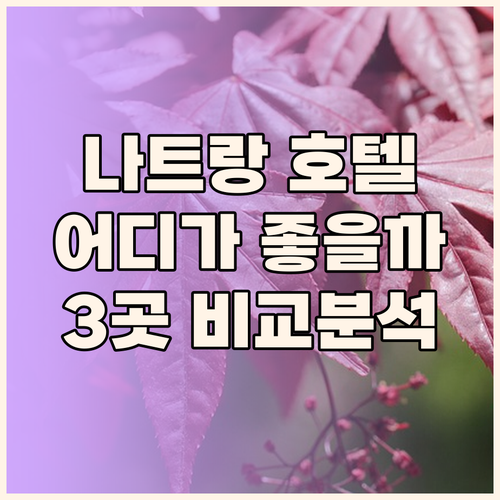 나트랑 호텔 고민 끝 위치, 가격, 