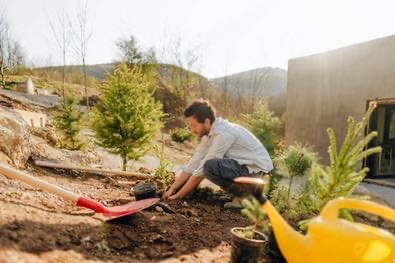 화분형 미니 텃밭으로 채소 자급하기