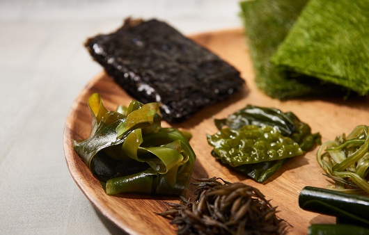 해조류, seaweed