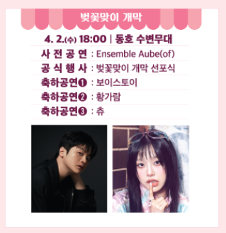 석촌 호수 벚꽃축제