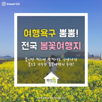 봄꽃 여행지 베스트10 벚꽃 유채 튤립 명소와 걷기 좋은 코스_17