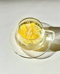 차(Tea)의 종류와 효능