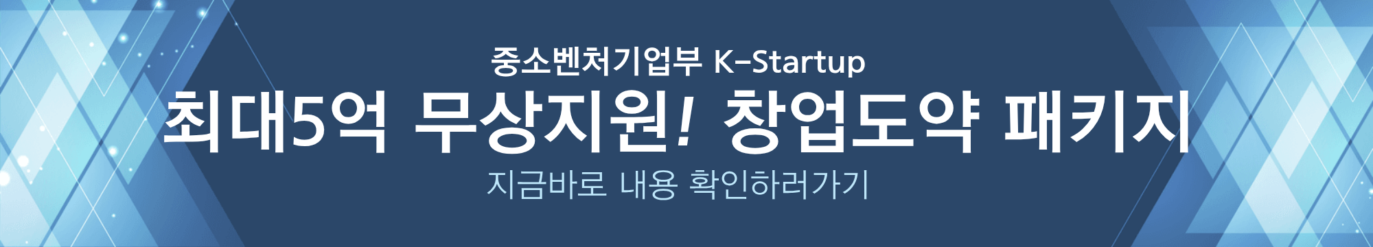 홈페이지&middot;앱 개발로 5억 지원금 받는 법 (2025 창업&middot;R&amp;D 사업 완벽 정리)