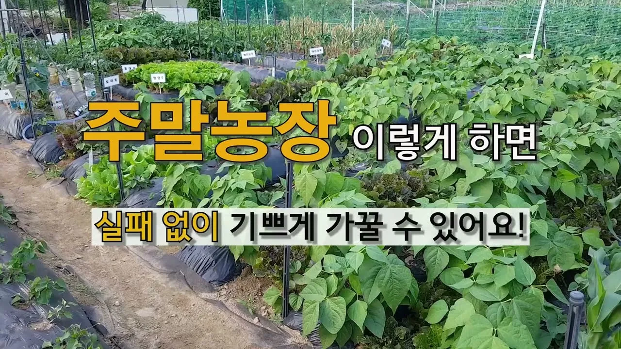 주말농장 시작법 분양 준비물 초보팁 가족과 함께 즐기기_3
