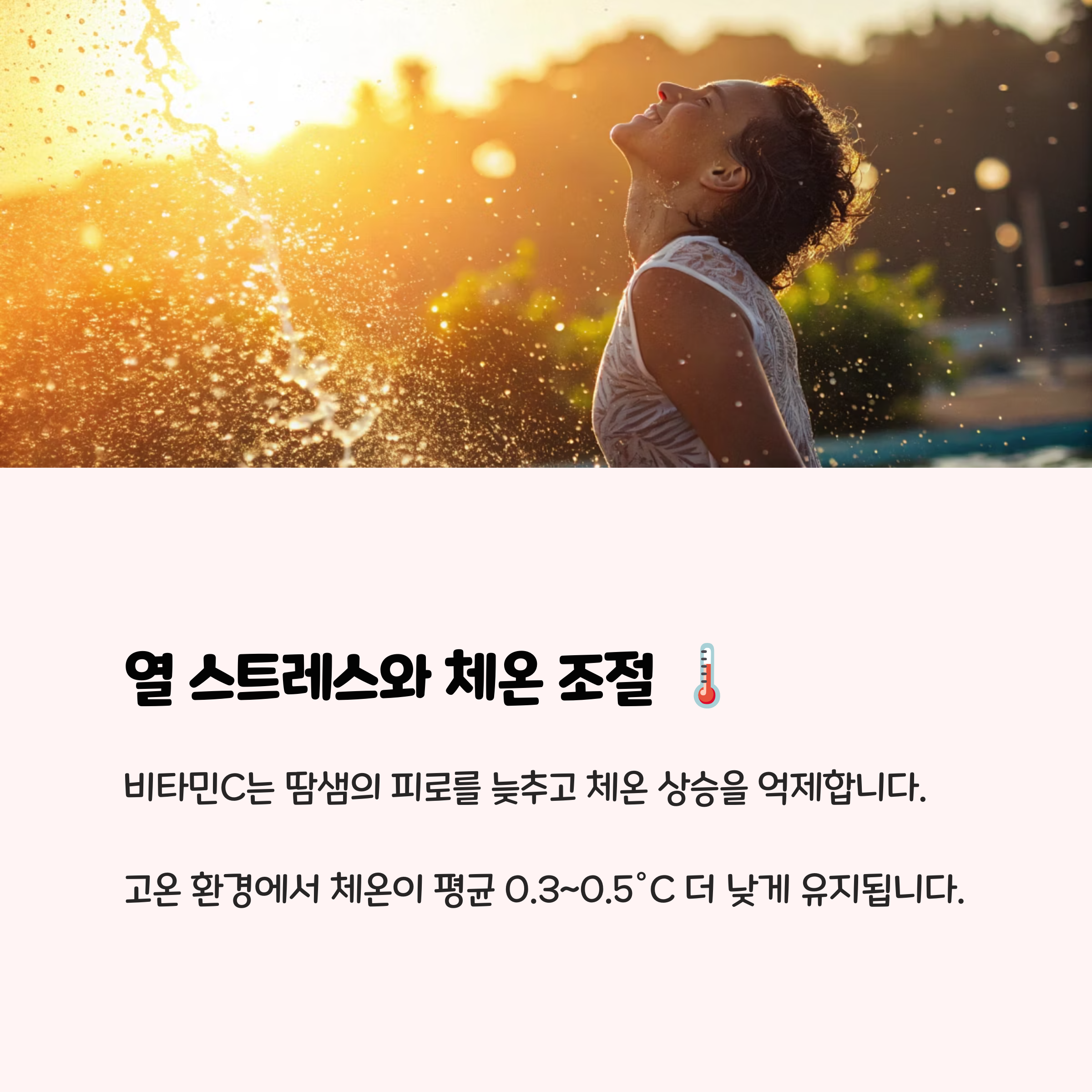 4. 열 스트레스와 체온 조절에 도움 🌡️
