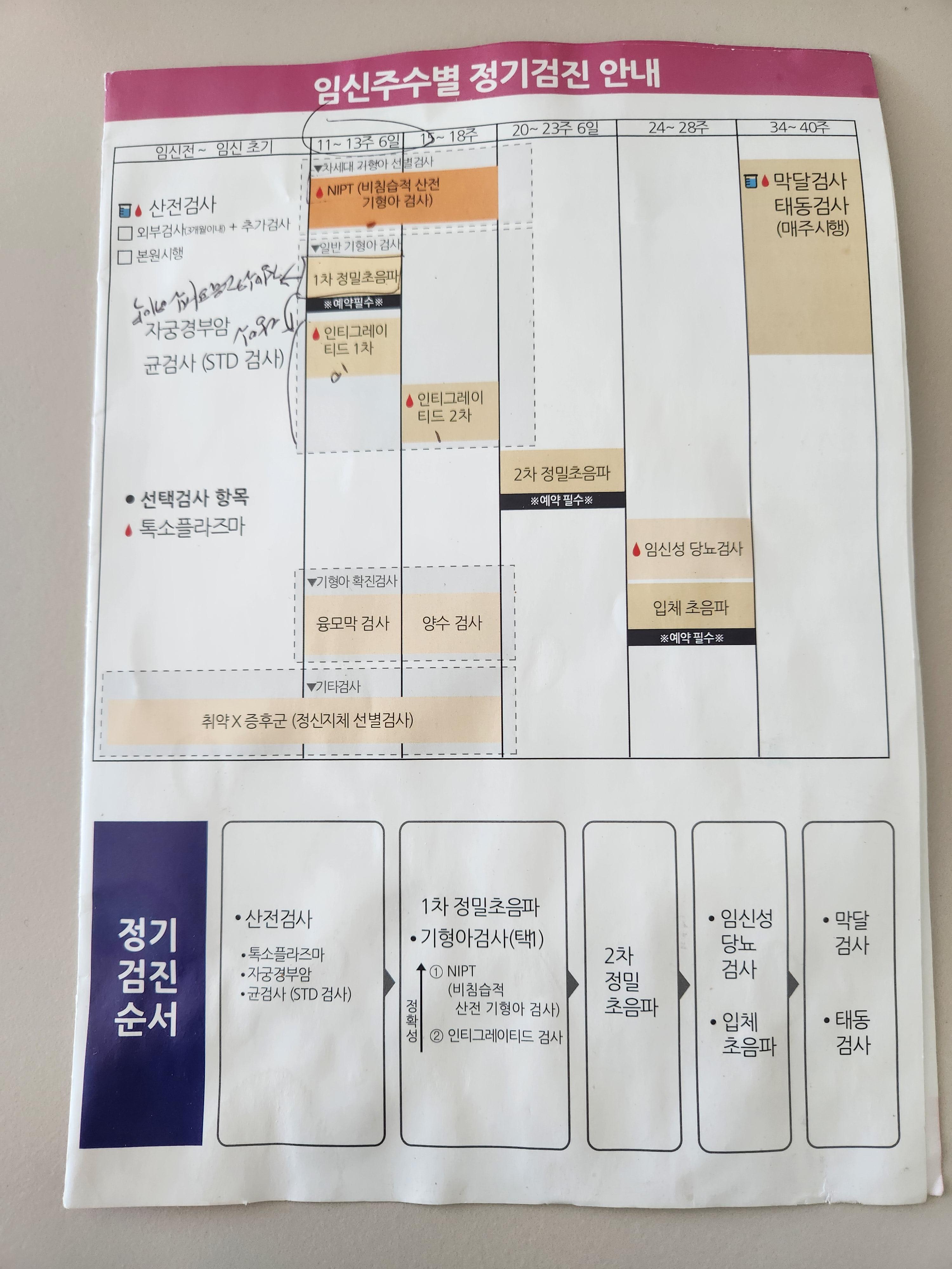 1차 기형아검사 정밀 초음파