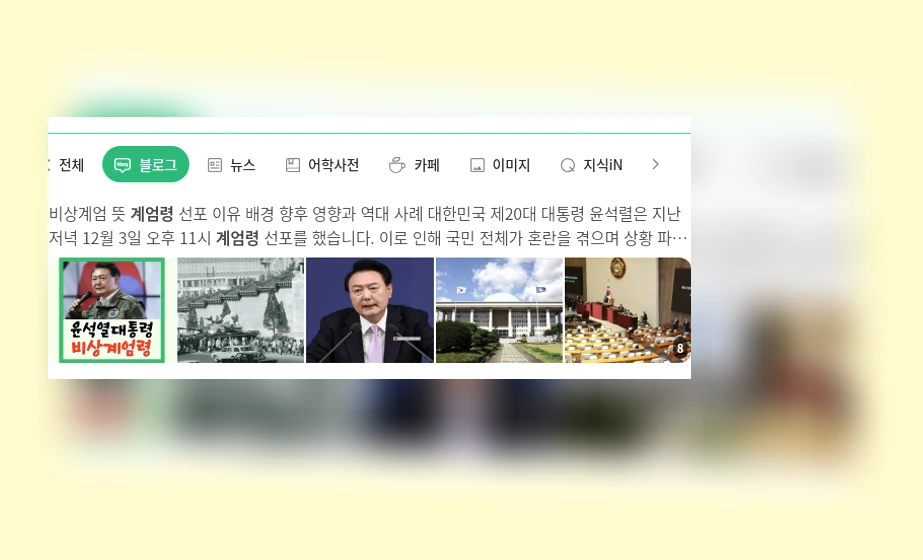 계엄령_1_subsection