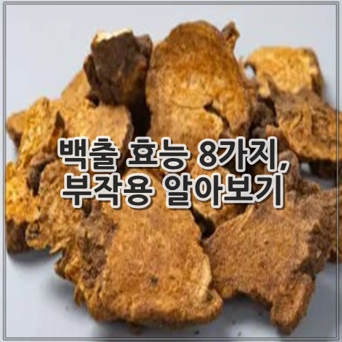백출 효능 8가지, 부작용 알아보기