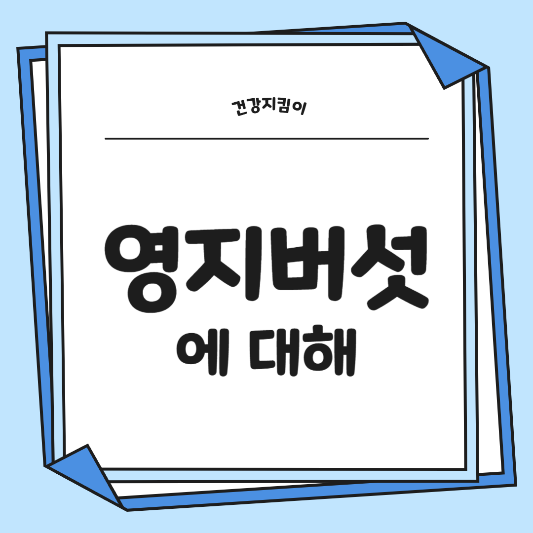 영지버섯 효능 부작용 먹는 방법