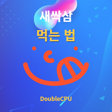 새싹삼 먹는방법