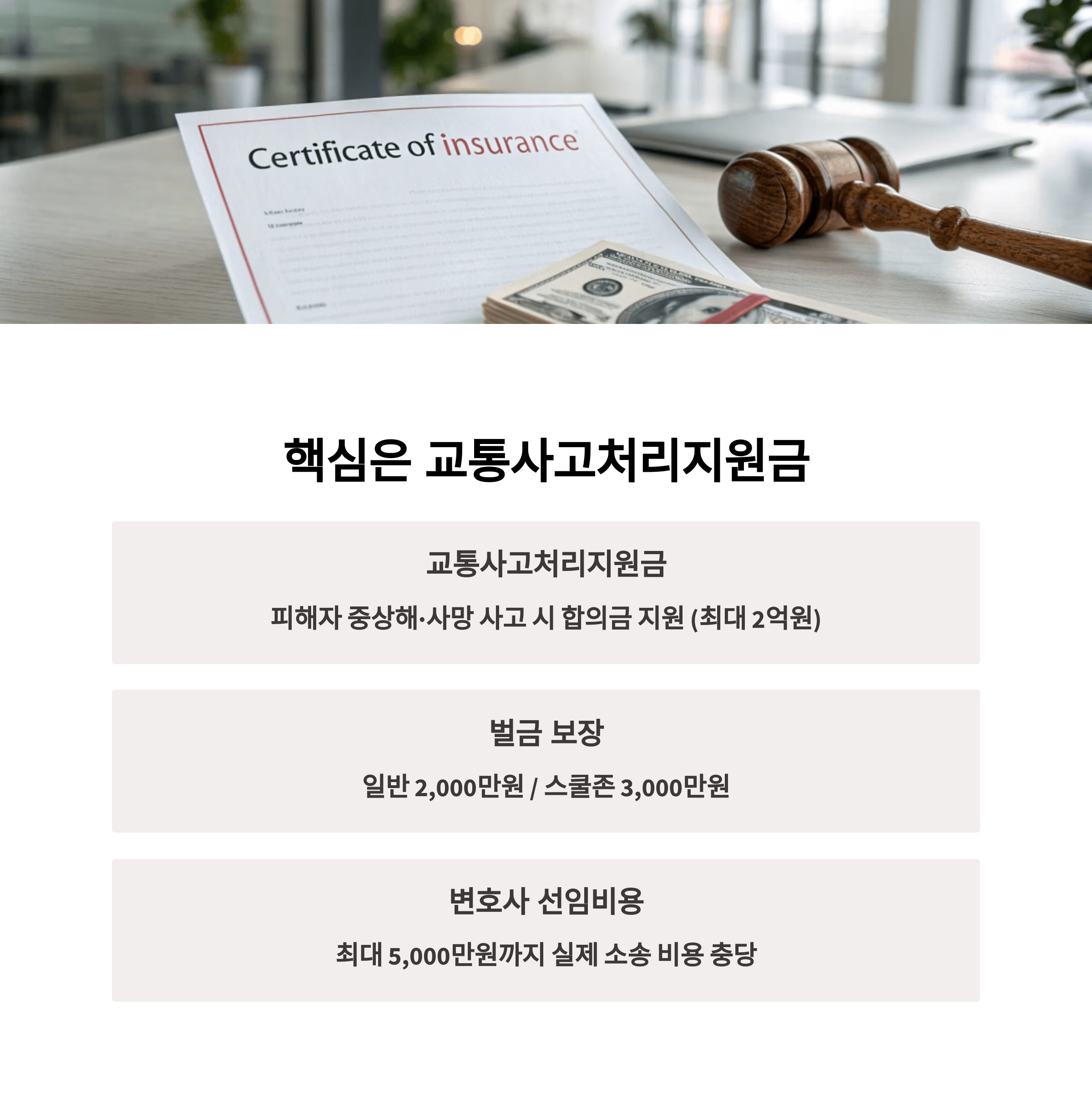 현실적인 보장 수준 분석: 교통사고처리지원금이 핵심