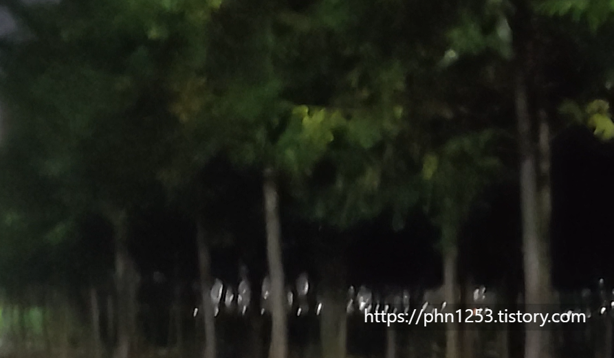 Alt 속성 문제 해결 설명 이미지