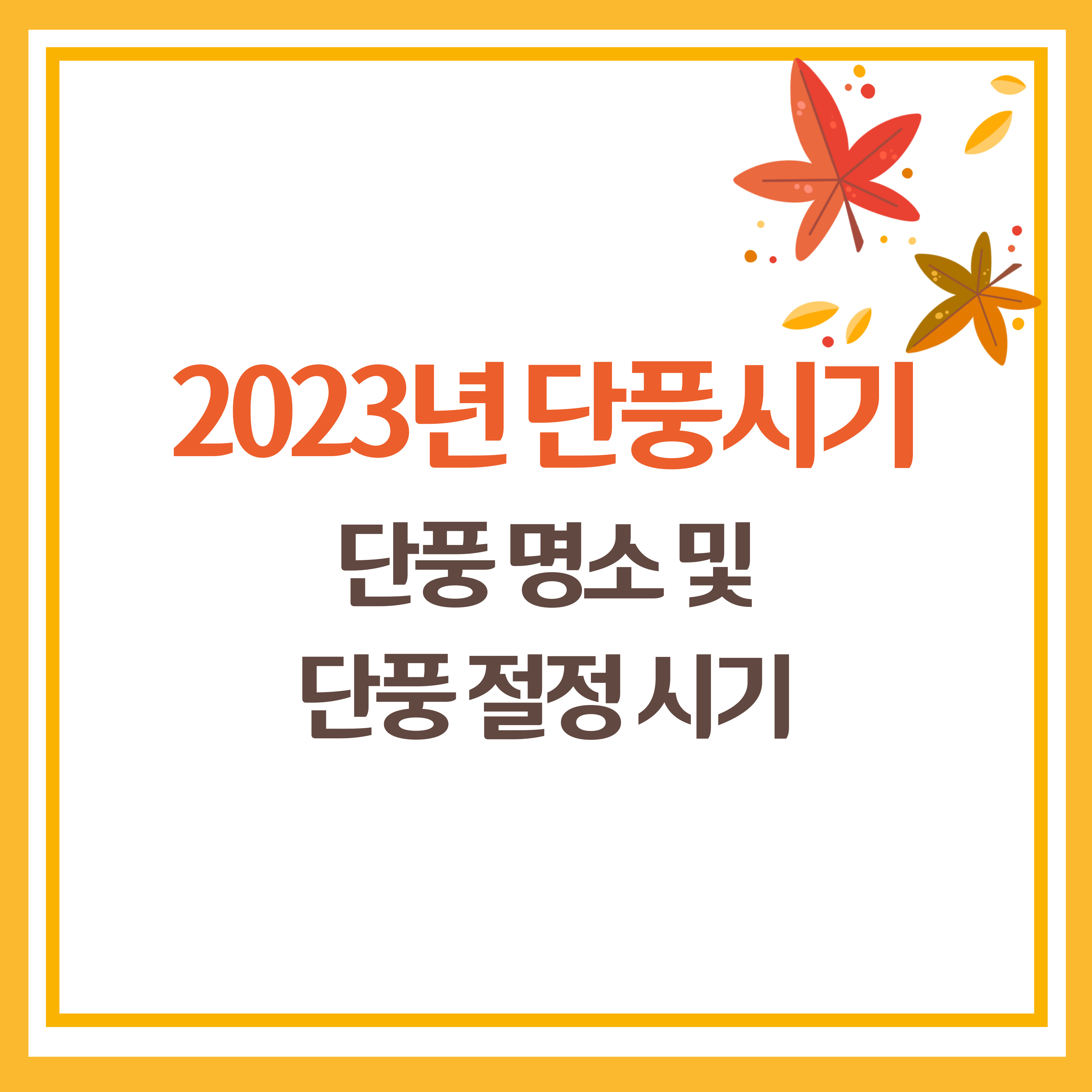 2023년 단풍시기 설악산 단풍