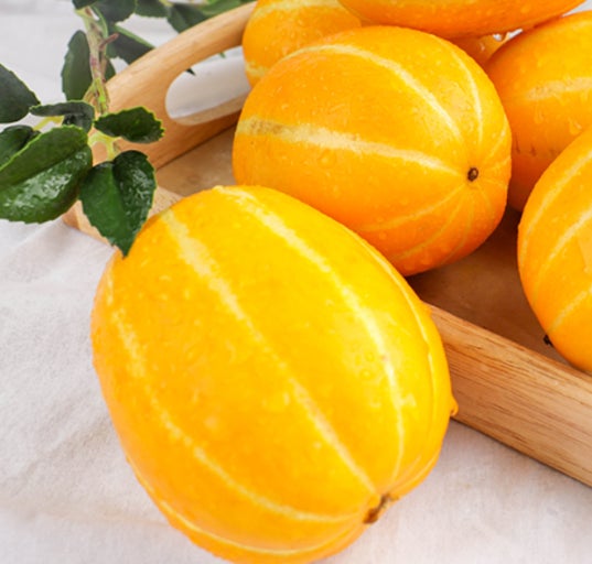 참외 효능 부작용