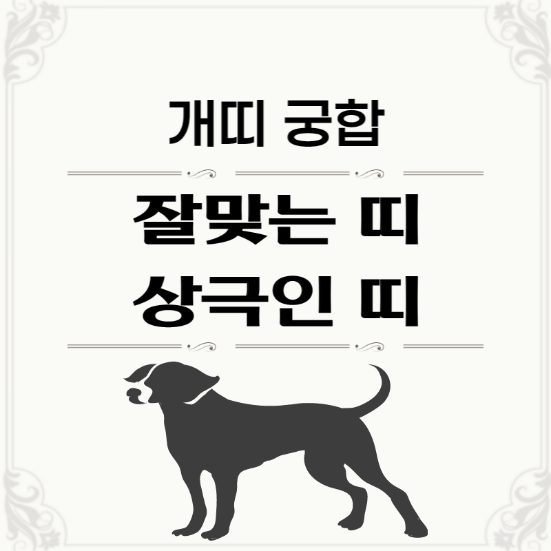 개띠-띠별-궁합-썸네일