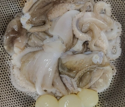 3월에 먹으면 좋은 제철 음식(봄철 음식) - 쭈꾸미편 (효능&amp;#44; 쭈꾸미가 들어가는 음식)