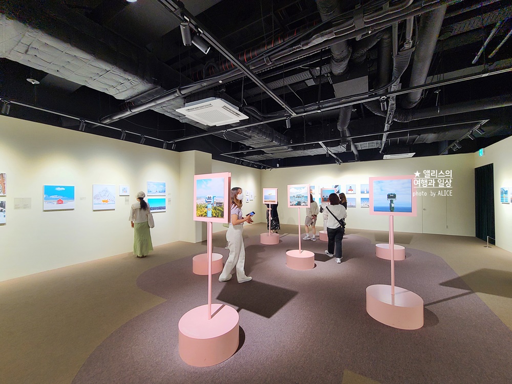 우연히 웨스 앤더슨 전시 추천, 그라운드 시소 성수