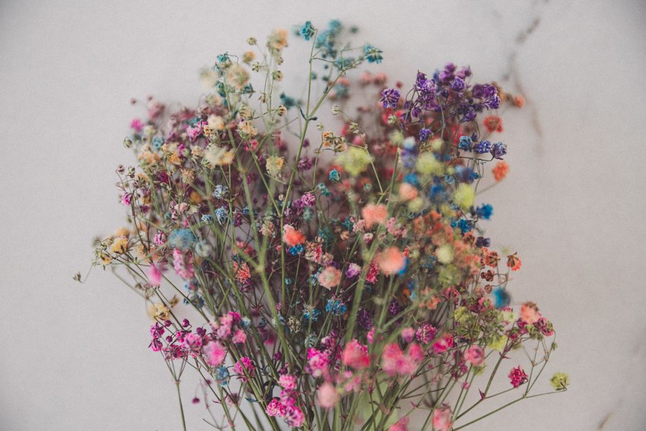 A colorful bouquet of dyed and painted baby's breath flowers in an artistic arrangement.