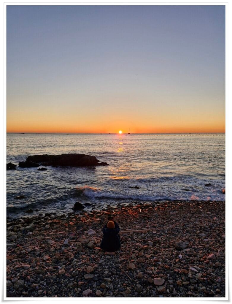 2025년 새해 일출과 을사년 뱀의해 의미